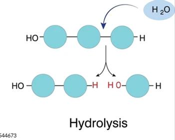 Hydrolysis reaction diagram