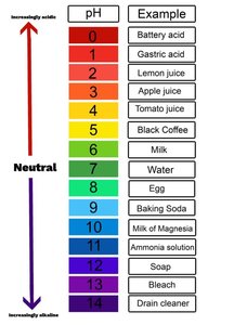 pH scale with examples