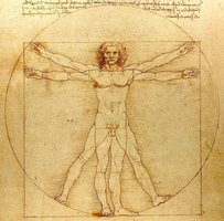 Vitruvian Man illustrating anatomical position