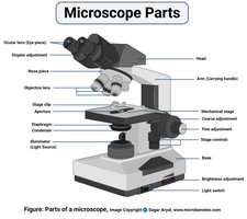 Labeled diagram of microscope parts