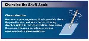 Simple model of articular motion