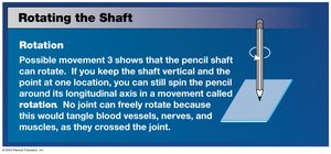 Simple model of articular motion