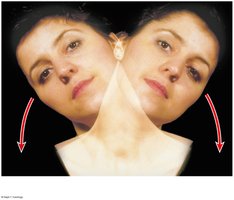 Lateral flexion