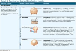 Functional and Structural Classifications of Joints