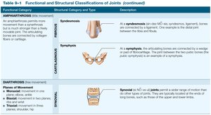 Functional and Structural Classifications of Joints (continued)