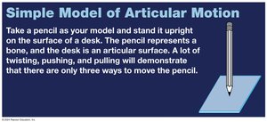 Simple model of articular motion