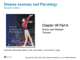 Human Anatomy and Physiology textbook cover and chapter title