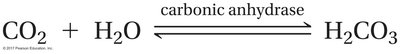 Equation for CO2 conversion to carbonic acid