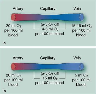 Oxygen content in arteries, capillaries, and veins