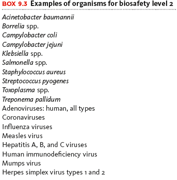 Examples of organisms for biosafety level 2
