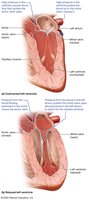 Pressure changes, blood flow, and valve function (ventricular contraction)