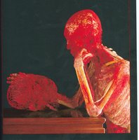 Visualization of the body's vascular network