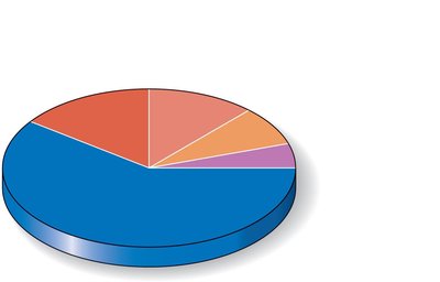 Pie chart of blood distribution