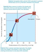 Oxygen-hemoglobin dissociation curve