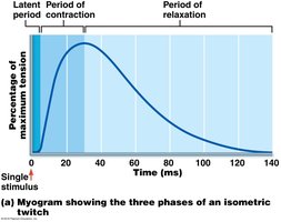 Myogram of muscle twitch