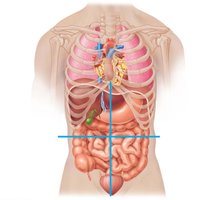 Diagram of abdominopelvic quadrants