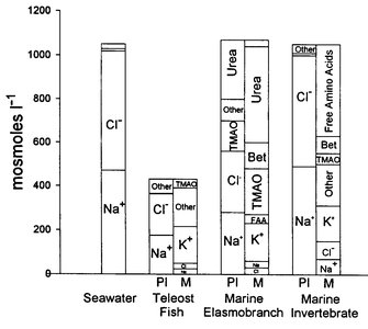 Ion and osmotic regulation in different animal groups