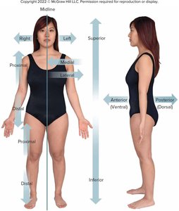 Terms of relative position