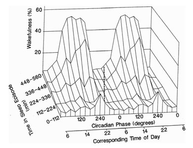 3D plot of wakefulness vs. circadian phase and time in sleep episode