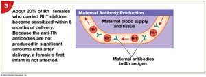 HDN: Maternal antibody production