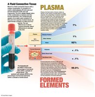 Composition of whole blood: plasma and formed elements