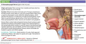 Glossopharyngeal nerve structure and function