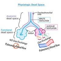 Physiologic dead space diagram
