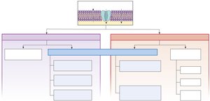 Transport across membranes