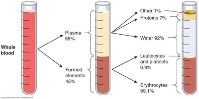 Blood composition: plasma and formed elements