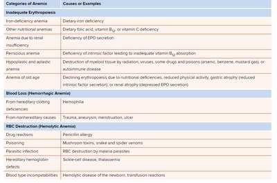 Categories and causes of anemia
