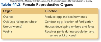 Table of female reproductive organs and functions