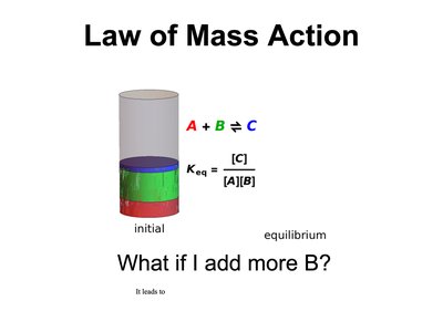 Law of Mass Action - adding more B
