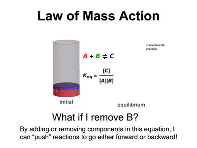 Law of Mass Action - removing B