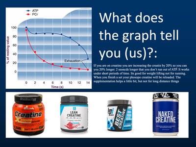 Phosphocreatine dynamics