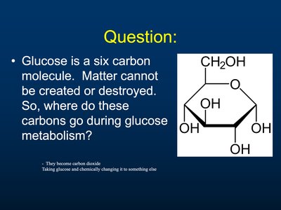 ATP production from glucose