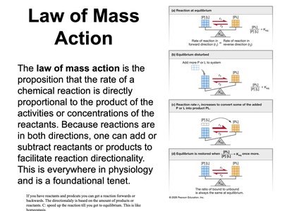 Law of Mass Action