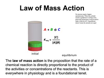 Law of Mass Action equation