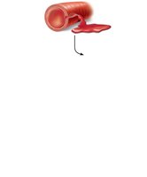 Positive feedback: initial break in blood vessel