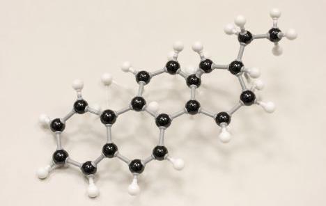 Steroid hormone molecular model