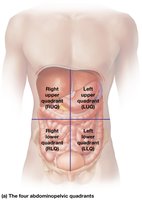 Abdominopelvic quadrants
