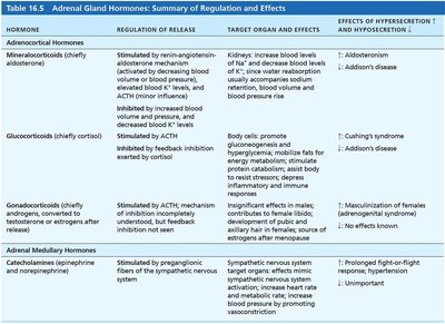 Adrenal gland hormones summary table