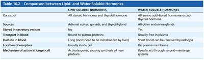 Comparison between Lipid- and Water-Soluble Hormones