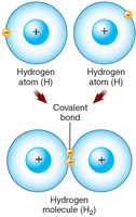 Covalent bonding between hydrogen atoms