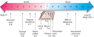 pH scale with examples of acidic and basic substances