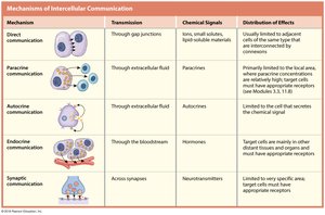 Mechanisms of Intercellular Communication