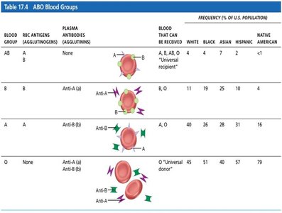 ABO blood groups table