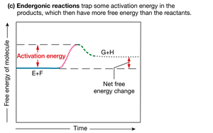 Endergonic reactions