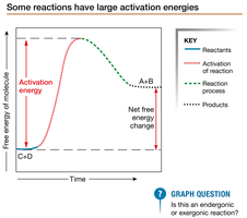 Some reactions have large activation energies