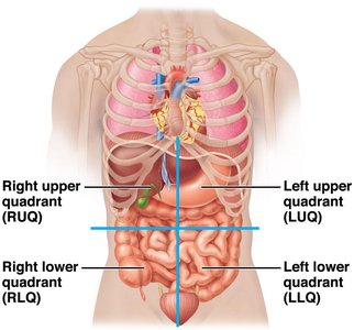 Abdominopelvic quadrants
