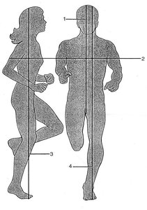 Planes of the body